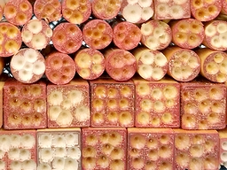 ��ӂ̓h�����ɂ�钤���ʔj��Ŋm���Ɏg�p�s�\�ɂ��܂�