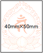 40mm�~50mm �f�[�^�[���e�S����